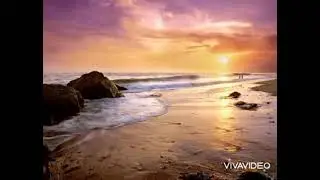 Video alam (no copyright)