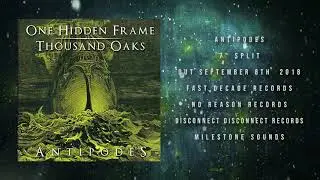 ONE HIDDEN FRAME - Quicksand