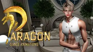 Paragon Nick   Male Erotic Dance Pack / Second Life