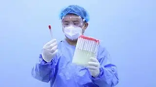 STERILE SWAB STICKS