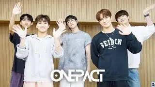 ONE PACT | Здравствуйте, это One Pact