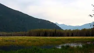 Fishing - Ross Lake - Lake View