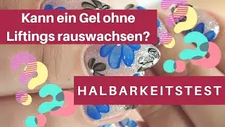 HALTBARKEITSTEST: Wie gut ist das neue 