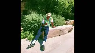 [FREE] TYLER THE CREATOR TYPE BEAT - &ldquo;GARDEN SHED&rdquo;