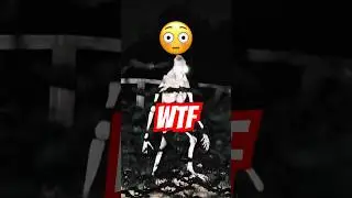 Real or Myth? The Creepy Creature Caught on Camera at Night | Prehistoric Human Story