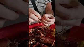 Trying Crawfish for the First Time! | How to Eat Crawfish Like a Pro