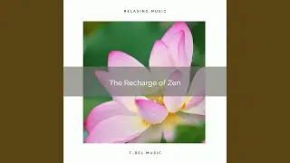 Perfect Meditation with Nature Music pt. 3