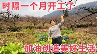 忙碌了一个月没有干农活，今天终于开工了，夫妻俩努力奋斗创造美好生活，臭宝依旧在我们身边