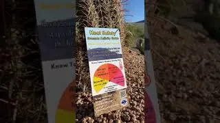 Heat Safety! Summer Activity Guide