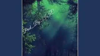 Relax In The Forest Lofi / Study Music / Sleeping Music 2021