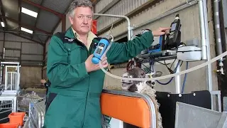Te Pari drench gun demonstrated