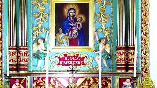 12 JANUARY 2026 - 06.30AM || LIVE HOLY MASS  ||  VALLARPADAM SHRINE BASILICA