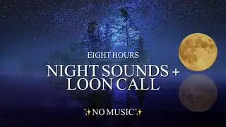 {8 Hours} Nature Sounds At Night & Occasional Loon Call **No Music**