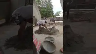 #trending #magic #song #funny #short #viral
