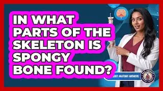 In What Parts Of The Skeleton Is Spongy Bone Found?