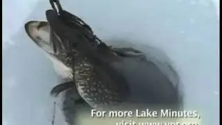 Ice Fishing on Lake Champlain