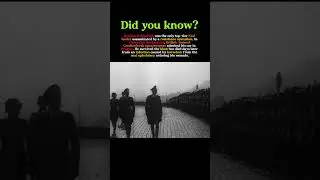 The Only Top Nazi Ever Assassinated: How Reinhard Heydrich Was Killed in Prague