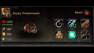 How to get the Dusky Timbertooth Pet!