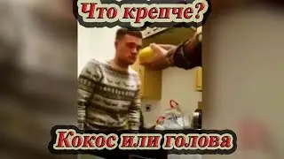 Лучшие приколы январь 2018. fun fun factory humo humo russia humorist vines