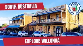🏡  Explore Willunga South Australia ~ Things to do in and around Willunga