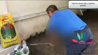 Best way to plant grass seed in spring