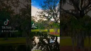 Bryant Commons Park, hinesville. #viral #viralreels #youtubeshorts #tiktok #video #reels #viralvideo