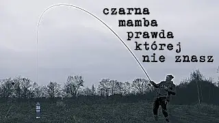 Czarna mamba i prawda której nie znasz a powinieneś dla Twojego dobra
