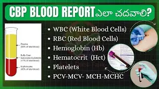 Easy way to understand CBP Blood Test Report in Telugu ( Complete Blood Picture) Hemoglobin, WBC RBC