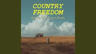 Road Signs and Open Skies