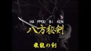 HIRYU NO KEN  |  NINJUTSU SWORD