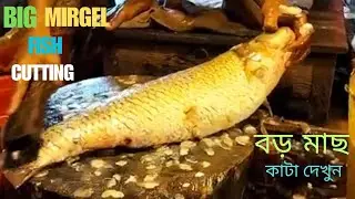 Cutting a Huge Mirgel Fish Big Mirgel Fish Cleaning & Preparation.#fishcutting #bigfish #fishvideo 