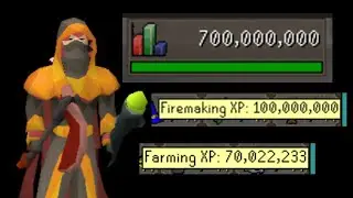 Ironman Progress : EXP