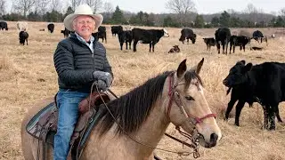 Morris Westfall: 2019 Missouri Cattlemen's Association Pioneer Award Winner