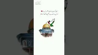 Best Islamic quotes for Whatsapp status | Islamic dp | golden words Islamic quotes