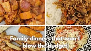 Budget friendly, tasty family dinner ideas | Summery family meals 🌞