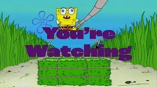 Nicktoons (USA) - Continuity (21st April 2025)