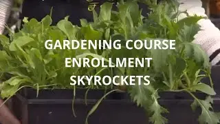 Gardening course enrollment skyrockets