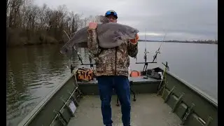 RIPPIN LIPS RODS (ОБЗОР В ДЕЙСТВИИ)