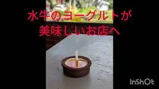 ハーブ研修旅行🌿スリランカ🇱🇰へ。シギリアへ移動。タンブッラ石窟寺院🛕チャイと、水牛ヨーグルトにカレー🍛
