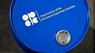 OPEC+ will increase production, prices fall