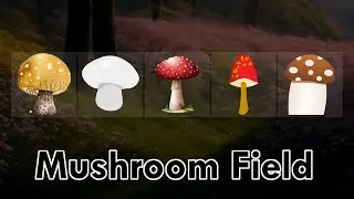 Mushroom Field Mushroom Puzzle