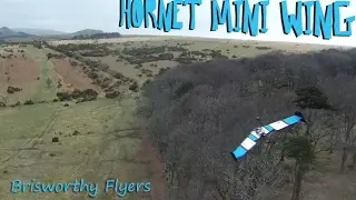 Hornet Mini Race Wing - Brisworthy Flyers