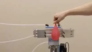 Pneumatic Gripper Positioning - A Pig, A Balloon and a Lightbulb - Enfield Technologies
