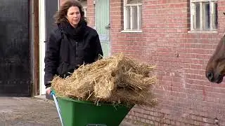 Elektroschubkarre E-PowerBarrow HD Farm&Stable