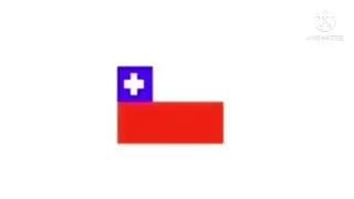 Transformation flags Texas - Chile - Poland