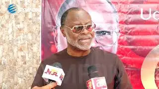 Scholar & Globally Renowned Analyst Faults The Nigerian System &ndash; Listen To This Argument By Udenta