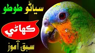 Sindhi story | Sindhi Kahani | Sindhi new Story | Sindhi akhani