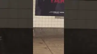 Two rats fighting over food in the NYC subway