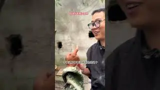 城市里几乎绝迹的人情味，在大凉山的山里确随处可见，这不是客套，是刻在骨子里的待客之道。#我的乡村生活