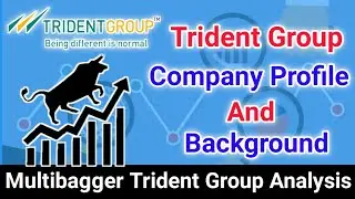 TRIDENT GROUP LIMITED Overview // Company Profile And Background // Trident Ltd Company Profile.